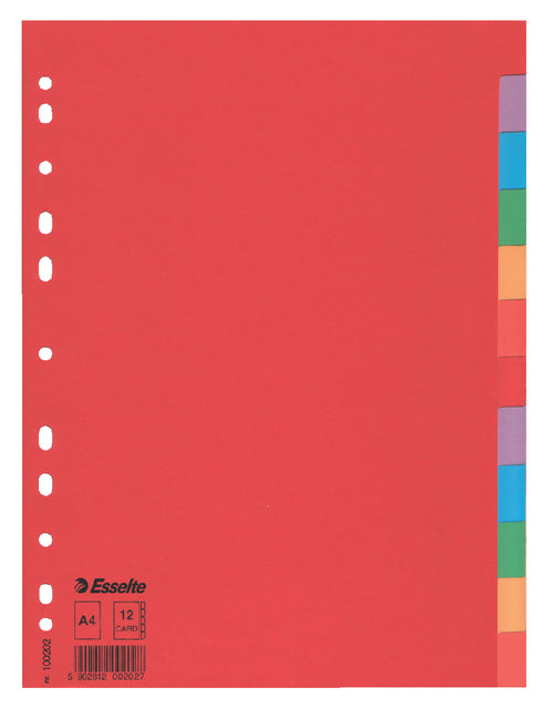 Esselte - Tabs A4 11r Cardboard 12-Piece sans page de couverture | 10 pièces