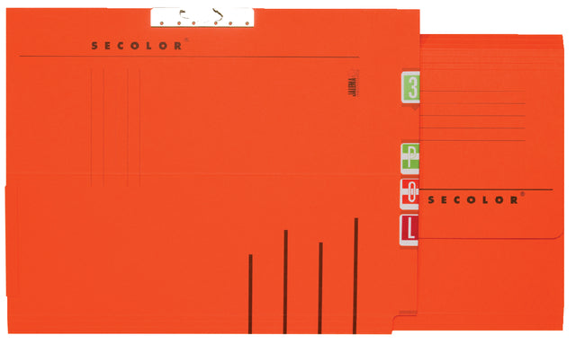 Quantore - Sammlerordner A4 Lateral Red | 50 Stück