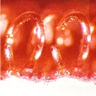 Klika - Velcro non appiccicoso. Gancio bianco da 20mm 25