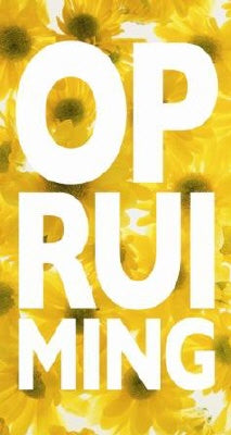 Klika - Biglietto da vetrina tema CLEARANCE 50x94cm solare