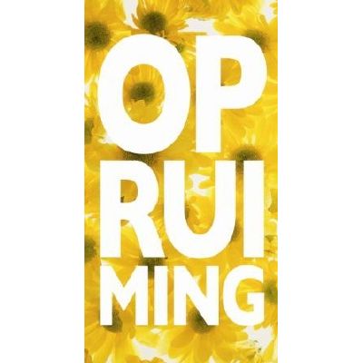 Klika -  Raambiljet thema OPRUIMING 50x94cm zonne