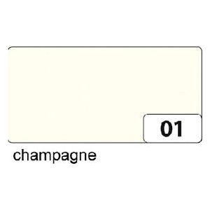 Folia Paper - Fotokarton folia 2z 50x70cm 300gr nr01 champagne | Omdoos a 10 stuk