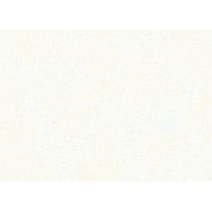 Folia Paper - Silence Flowing Paper Folia 50x70cm 20gr Nr00 White 10 Feuille
