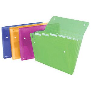 Rexel - Tri Folder Ice 6TAB Assorti | 10 morceaux